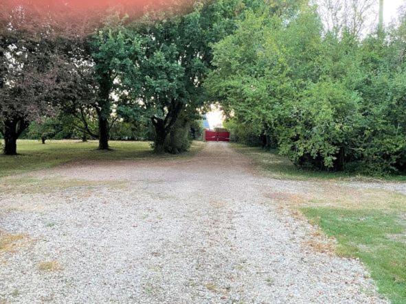 La Maison Tournesol - 3 Bedroom House With Large Garden Near Saumur Saint-Martin-de-la-Place Exterior photo